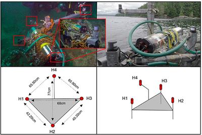 Intra-Group Orca Call Rate Modulation Estimation Using Compact Four Hydrophones Array